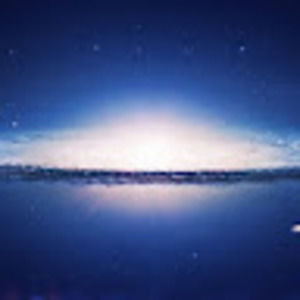 Meet your Posher, Darrell